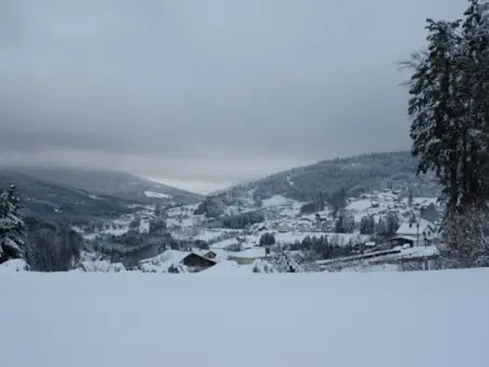 Gîte calme avec terrasse près de Gérardmer, Appartement 6 personnes à Le Tholy - Photo 26