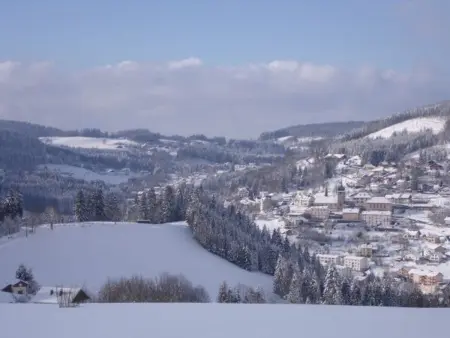 Gîte calme avec terrasse près de Gérardmer, Appartement 6 personnes à Le Tholy - Photo 27