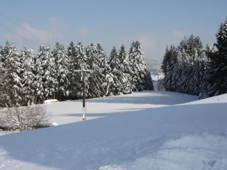 Gîte calme avec terrasse près de Gérardmer, Appartement 6 personnes à Le Tholy - Photo 29