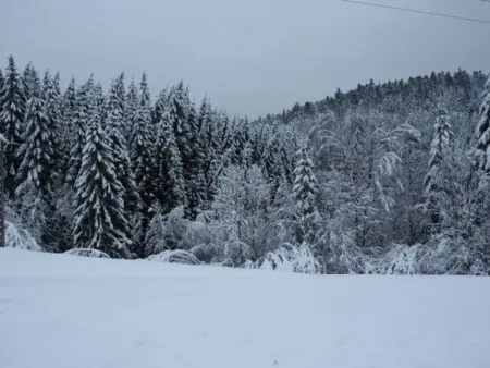 Gîte calme avec terrasse près de Gérardmer, Appartement 6 personnes à Le Tholy - Photo 30