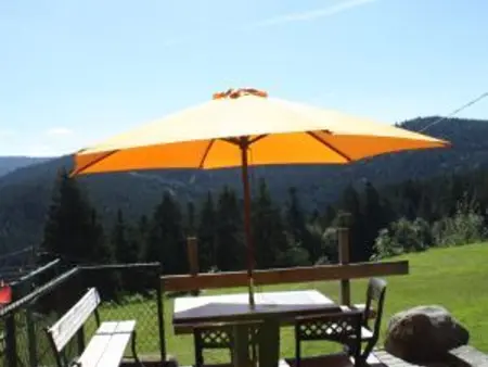 Gîte chaleureux avec terrasse privée à Gérardmer - Photo 9