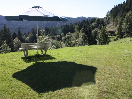 Gîte chaleureux avec terrasse privée à Gérardmer - Photo 10