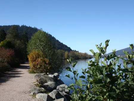 Gîte chaleureux avec terrasse privée à Gérardmer - Photo 14