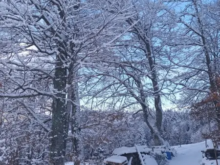 Gîte à la montagne avec cheminée, wifi et joli terrain - Photo 28