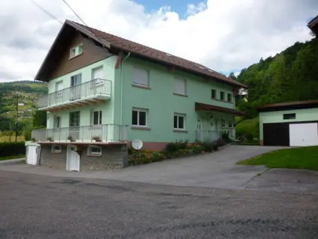 Gîte chaleureux à La Bresse avec terrasse, barbecue et proche des pistes de ski - Photo 1