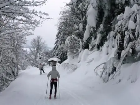 Gîte chaleureux à La Bresse avec terrasse, barbecue et proche des pistes de ski - Photo 18