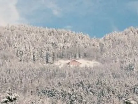 Ferme Vosgienne Rénovée avec Confort et Nature pour 7 Pers, WiFi, Animaux Bienvenus - Photo 35