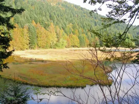 Chalet confortable près de Gérardmer avec cheminée et animaux bienvenus - Photo 28