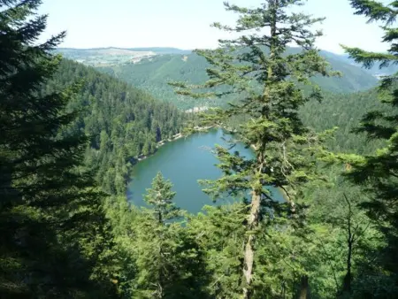 Chalet confortable près de Gérardmer avec cheminée et animaux bienvenus - Photo 29
