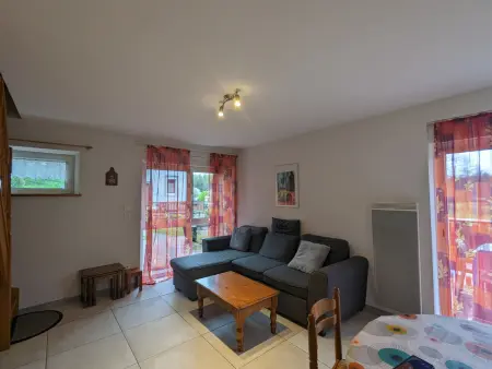 Gîte Alsace proche forêts, randonnée, stations de ski, 2 salons, terrasse sud, cheminée, animaux acceptés - Photo 2