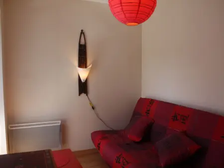 Gîte Alsace proche forêts, randonnée, stations de ski, 2 salons, terrasse sud, cheminée, animaux acceptés - Photo 10