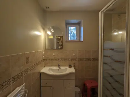 Gîte Alsace proche forêts, randonnée, stations de ski, 2 salons, terrasse sud, cheminée, animaux acceptés - Photo 13