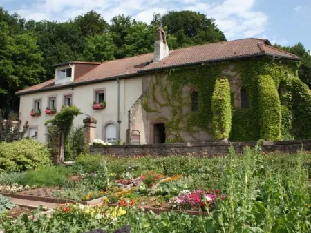 Gîte de charme pour 2 pers., terrasse, forêt à proximité, tout confort, Saint-Dié-des-Vosges - Photo 2