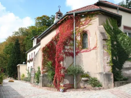 Gîte de charme pour 2 pers., terrasse, forêt à proximité, tout confort, Saint-Dié-des-Vosges - Photo 16