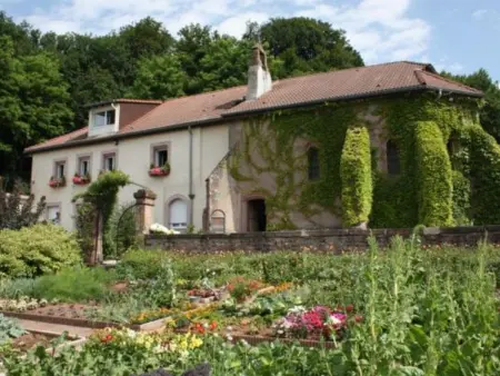 Gîte de charme pour 2 pers., terrasse, forêt à proximité, tout confort, Saint-Dié-des-Vosges - Photo 23
