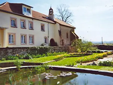 Gîte de charme pour 2 pers., terrasse, forêt à proximité, tout confort, Saint-Dié-des-Vosges - Photo 27