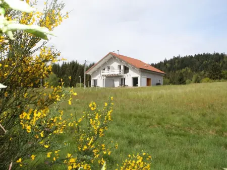 Gîte neuf au calme près de Gérardmer avec terrasse et balades en forêt - Photo 30