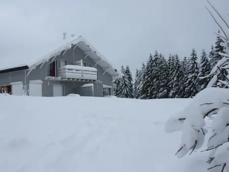 Gîte neuf au calme près de Gérardmer avec terrasse et balades en forêt - Photo 32