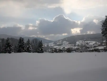 Gîte neuf au calme près de Gérardmer avec terrasse et balades en forêt - Photo 33