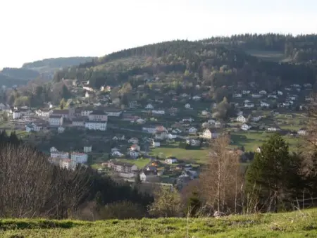 Gîte neuf au calme près de Gérardmer avec terrasse et balades en forêt - Photo 35