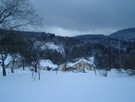 Grande maison avec cheminée, proche nature, idéale pour familles et amis, animaux admis. - Photo 17
