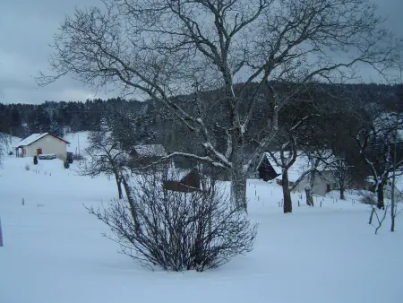 Grande maison avec cheminée, proche nature, idéale pour familles et amis, animaux admis. - Photo 18