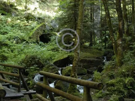 Grande maison avec cheminée, proche nature, idéale pour familles et amis, animaux admis. - Photo 26