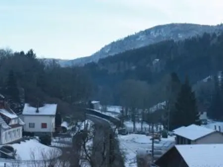 Chalet cosy en bordure de forêt avec wifi, terrasse et équipements complets à Rochesson - Photo 16