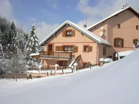 Gîte familial avec piscine, idéal pour randonnées et pêche, proche Gérardmer et crêtes vosgiennes - Photo 20