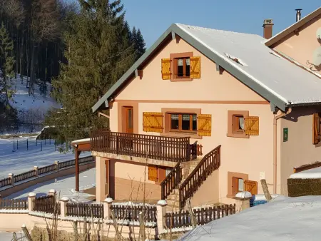 Gîte familial avec piscine, idéal pour randonnées et pêche, proche Gérardmer et crêtes vosgiennes - Photo 22