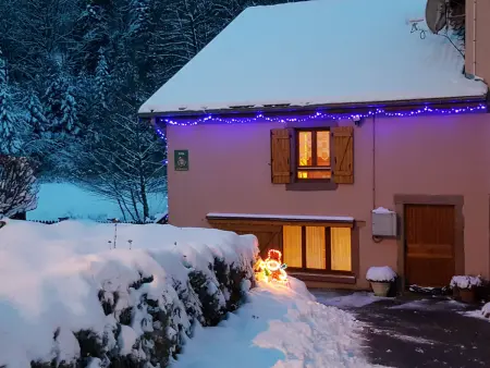 Gîte familial avec piscine, idéal pour randonnées et pêche, proche Gérardmer et crêtes vosgiennes - Photo 23