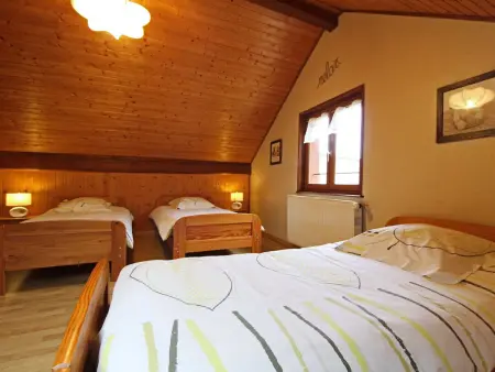 Gîte familial avec piscine, idéal pour randonnées et pêche, proche Gérardmer et crêtes vosgiennes - Photo 27