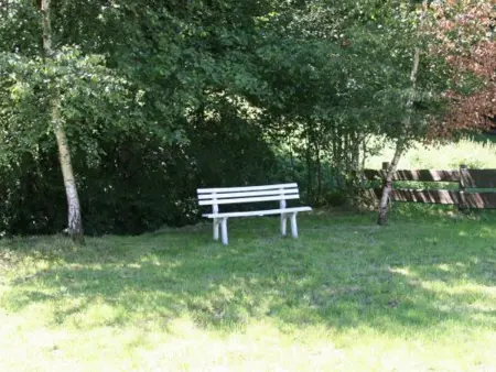 Gîte familial avec piscine, idéal pour randonnées et pêche, proche Gérardmer et crêtes vosgiennes - Photo 32