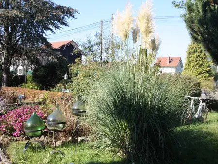 Gîte cosy  shabby chic  avec sauna privé, grand terrain et randonnées à proximité - Photo 24