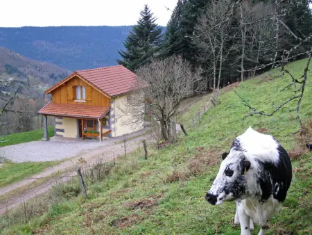 Maison montagnarde rénovée avec cheminée et randonnées - Photo 14