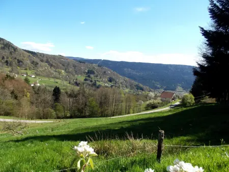 Maison montagnarde rénovée avec cheminée et randonnées - Photo 17