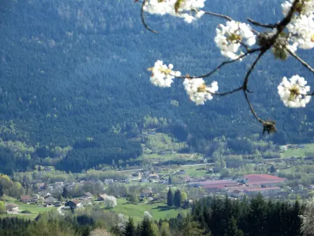 Maison montagnarde rénovée avec cheminée et randonnées - Photo 28