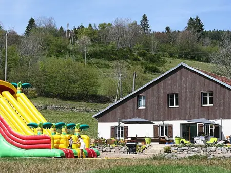 Ferme Vosgienne rénovée avec spa, sauna, jacuzzi, billard et étang privé en pleine nature - Photo 24