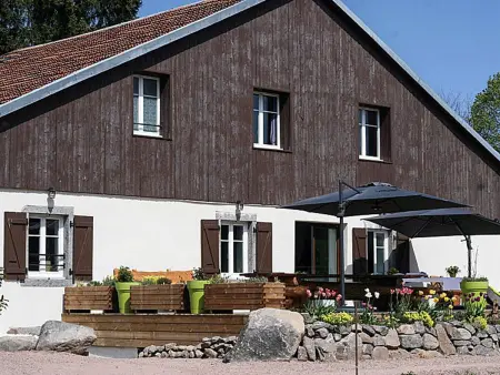 Ferme Vosgienne rénovée avec spa, sauna, jacuzzi, billard et étang privé en pleine nature - Photo 30