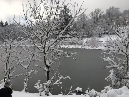 Ferme Vosgienne rénovée avec spa, sauna, jacuzzi, billard et étang privé en pleine nature - Photo 34