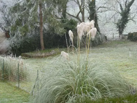Maison Indépendante 5 Chambres avec Jardin - Animaux Bienvenus - Photo 27