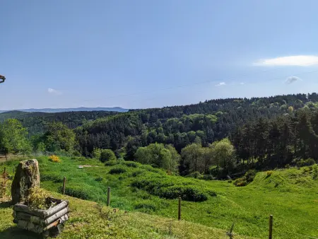 Gîte au calme avec équipements PMR, parking, animal accepté - Photo 3