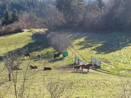 Maison familiale 4 chambres avec jardin, cheminée, poêle à bois, parking et Wi-Fi - Photo 25