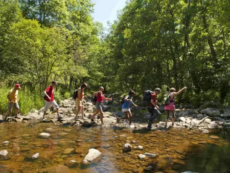 Gîte familial au cœur des gorges de la Loire avec équipements bébé et loisirs extérieurs - Photo 26