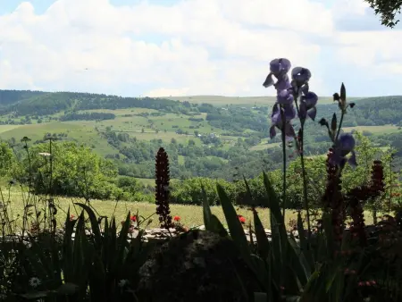 Location authentique avec cheminée et toit de chaume, proche nature et activités à St-Front - Photo 14