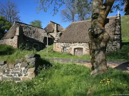 Location authentique avec cheminée et toit de chaume, proche nature et activités à St-Front - Photo 15