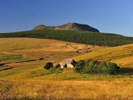 Location authentique avec cheminée et toit de chaume, proche nature et activités à St-Front - Photo 17