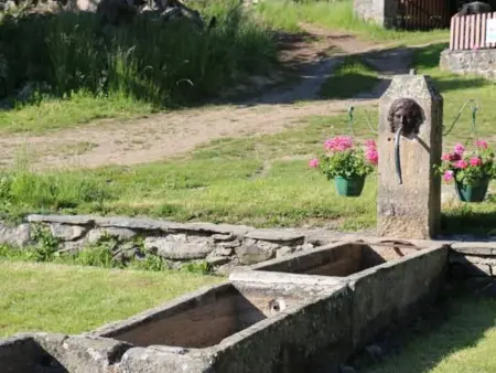 Gîte familial restauré avec jardin clos, équipements bébé, animaux acceptés, proche St-Julien-Chapteuil - Photo 23