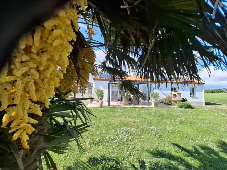 Maison récente à la ferme avec jardin, terrasses, 4 chambres, proche plages et pêche privée - Photo 30