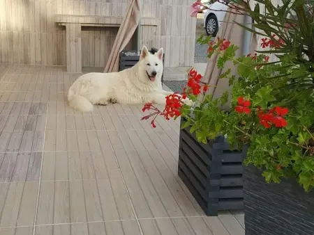 Maison rénovée à la ferme avec jardin privé, WI-FI, pêche, balançoire, trampoline - Brem-sur-Mer - Photo 5